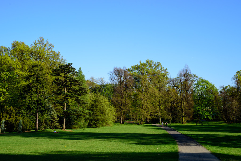 Щитницкий парк (Park Szczytnicki)