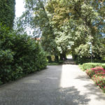 Ботанический сад во Вроцлаве (Ogród botaniczny we Wrocławiu)
