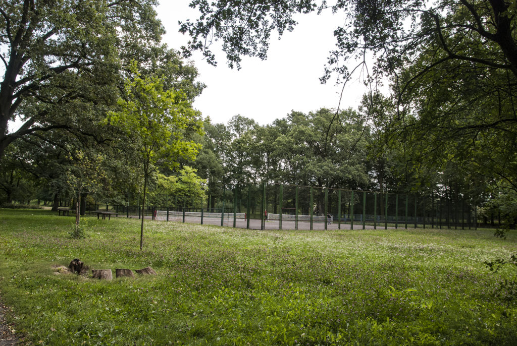 парк бискупиньский (park biskupiński, Wrocław)