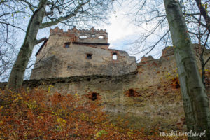 замок Гродно (zamek Grodno)