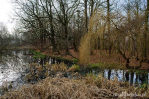 парк Черная вода во Вроцлаве (park Czarna Woda we Wrocławiu)