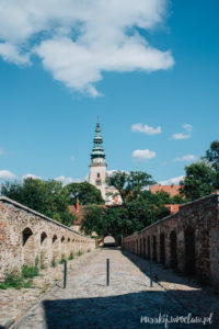 Цистерцианское аббатство (Opactwo Cystersów w Henrykowie)